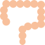 Intestines icon 64x64