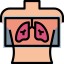 X ray icon 64x64