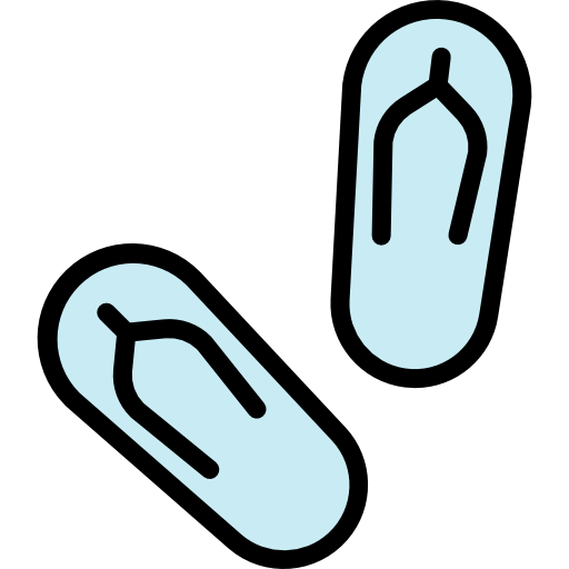 Flip flops icon