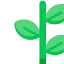 Growing plant icône 64x64