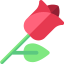 Rose icon 64x64