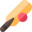 Cricket icon 64x64