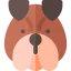 Bulldog icon 64x64