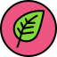 Leaf icon 64x64