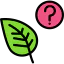 Leaf icon 64x64