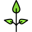 Plant icon 64x64