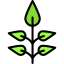 Plant icon 64x64