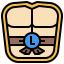 Leonardo icon 64x64