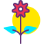 Flower icon 64x64
