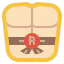 Raphael icon 64x64
