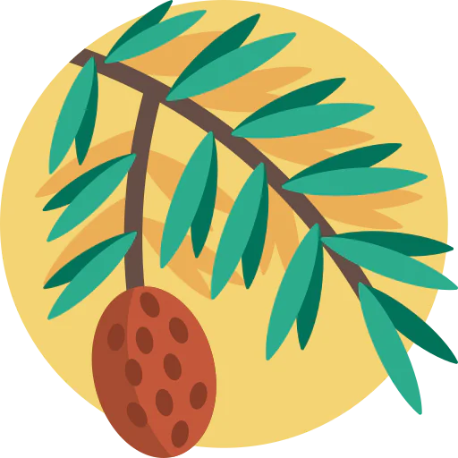 Pine icon