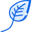 Leaf icon 64x64