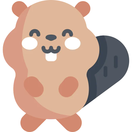 Beaver 상