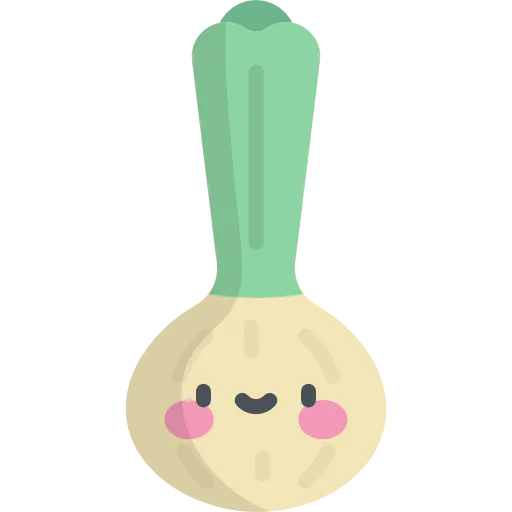 Onion icon