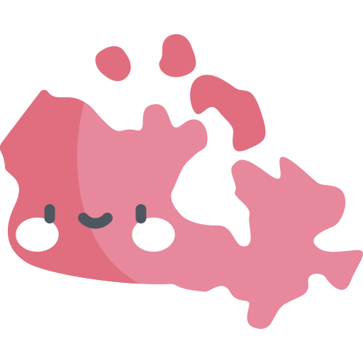 Canada icon