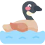 Duck icon 64x64
