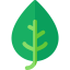 Leaf icon 64x64