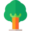 Tree icon 64x64