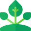 Sprout icon 64x64