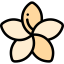 Plumeria icon 64x64