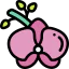 Orchid icon 64x64