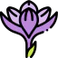 Crocus 图标 64x64