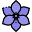 Clematis icon 64x64