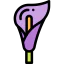 Calla lily icon 64x64