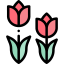 Tulip icon 64x64
