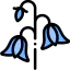 Bluebell icon 64x64
