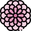 Chrysanthemum icon 64x64