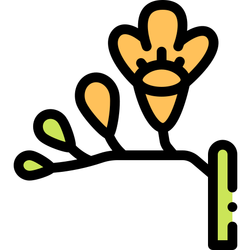Freesia icon