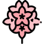 Rhododendron icon 64x64