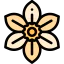 Daffodil icon 64x64