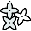 Madder icon 64x64