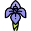 Iris icon 64x64