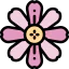 Zinnia icon 64x64