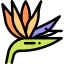 Flower icon 64x64