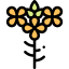 Mustard icon 64x64