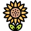 Sunflower icon 64x64