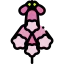 Foxglove icon 64x64
