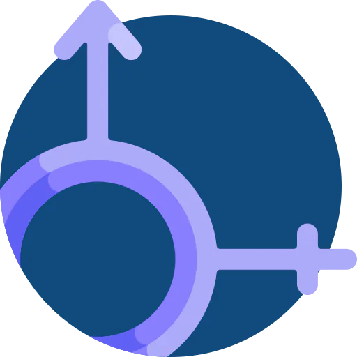 Bigender icon