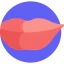 Lips icon 64x64