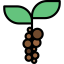 Coffee beans icon 64x64