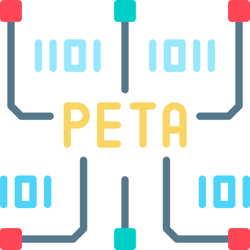 Petabyte icon