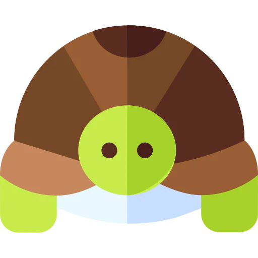 Turtle icon