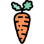 Carrot icon 64x64