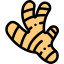 Ginger icon 64x64
