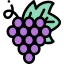 Grapes icon 64x64