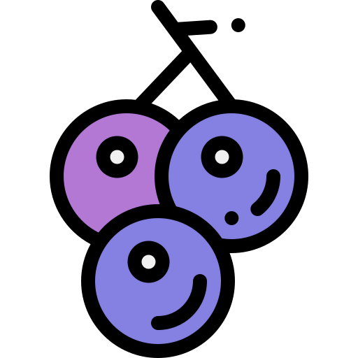 Berries icon
